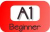 A1 A1