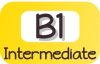 B1 B1